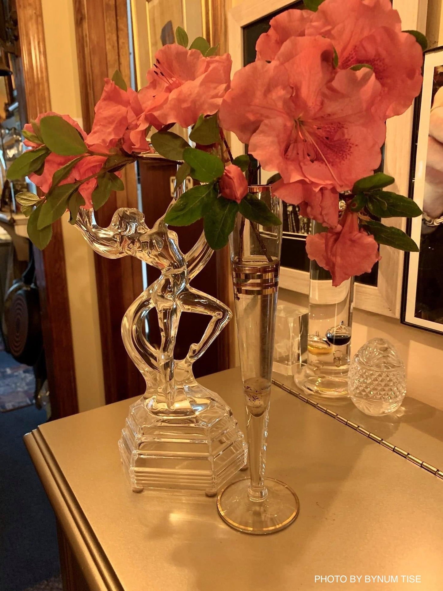 Azalea 'Gumpo Pink’ Light Pink Satsuki Azalea